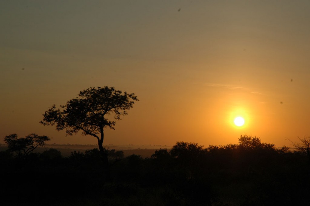 Sunset in the Timbavati
