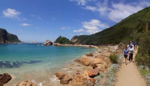 Guided tour through the Featherbed Nature Reserve