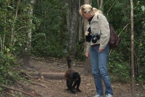 Visit exotic primates in Monkeyland