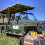 elephant-rock-private-safari-lodge-bush-breakfast