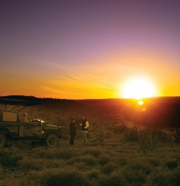 Addo National Park - Eastern Cape - South Africa